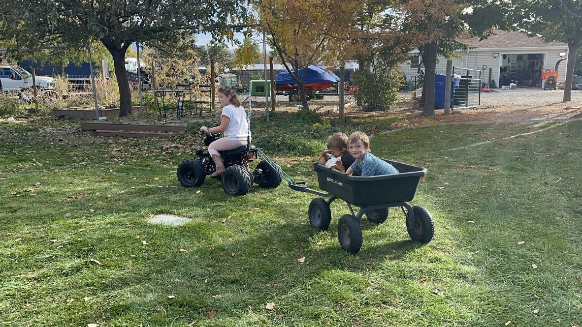A child riding a small four-wheeler and towing a garden cart with two children and a dog across a grassy yard.