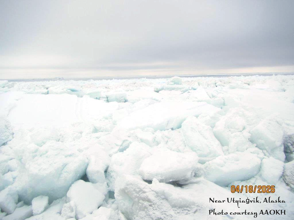 Seaページ Arctic Sea Ice Extent: May 1, 2026 – Alaska Climate Research Center