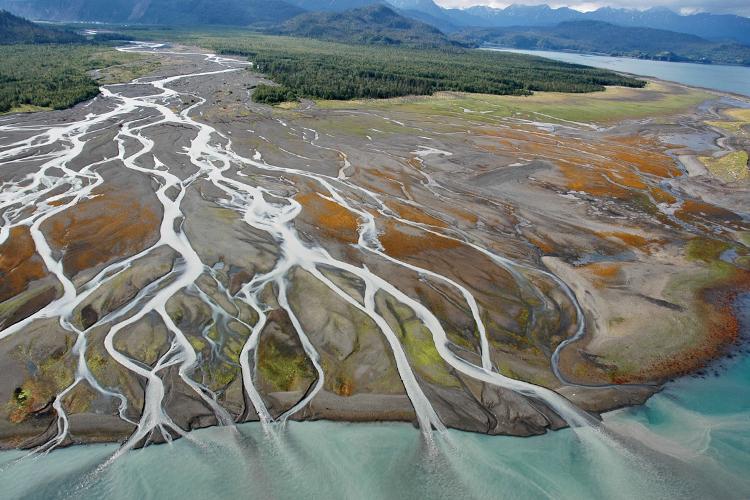Estuary Habitat | NOAA Fisheries