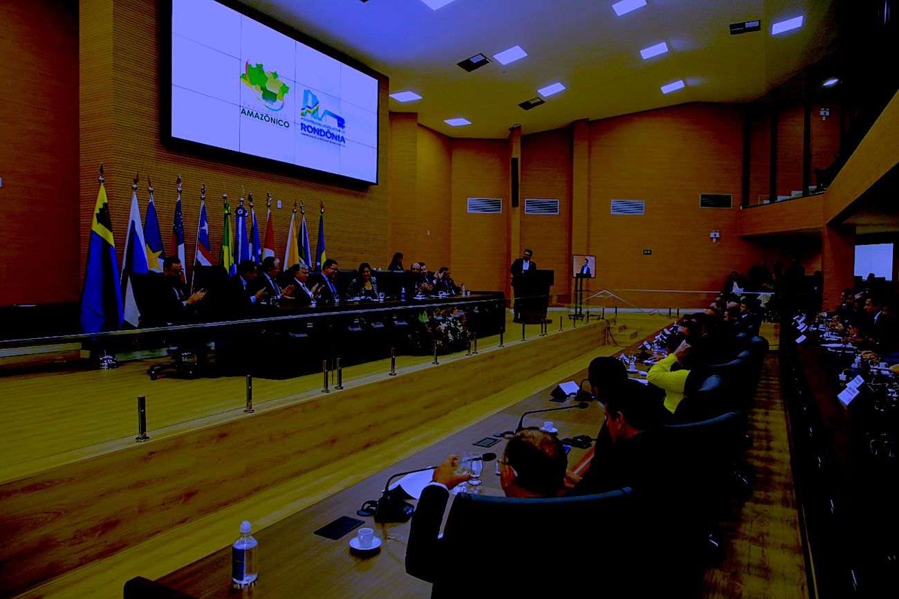 Eleições proporcionais e majoritárias: qual a diferença?