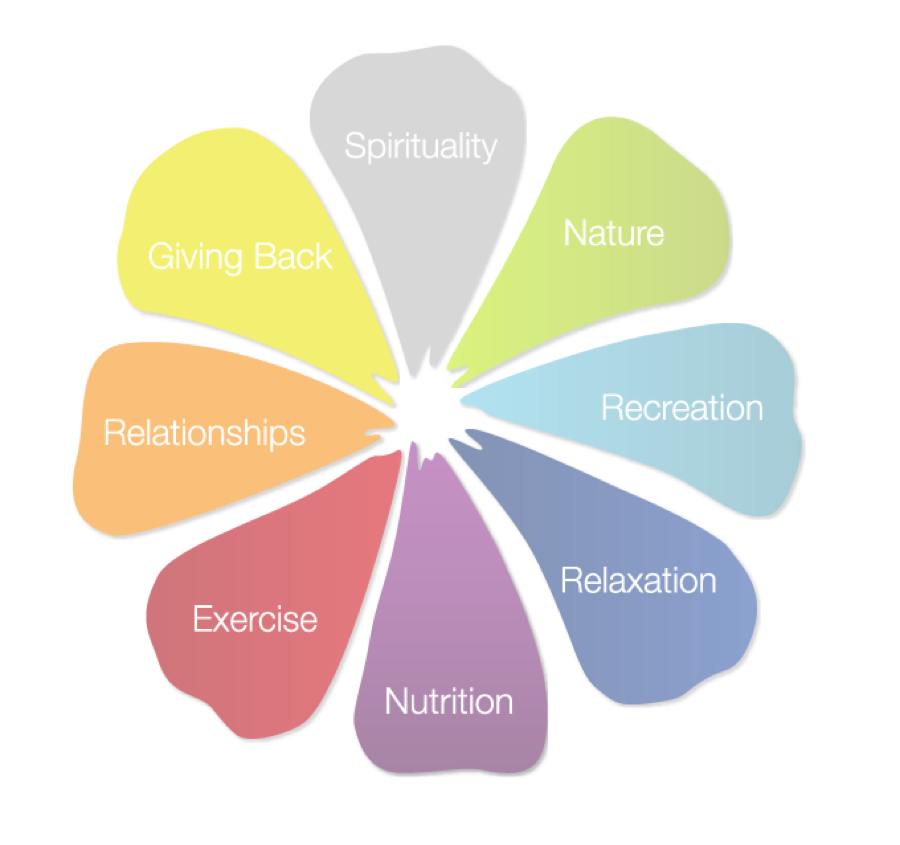 The Hedonic & The Ascetic - David Shapiro’s Substack