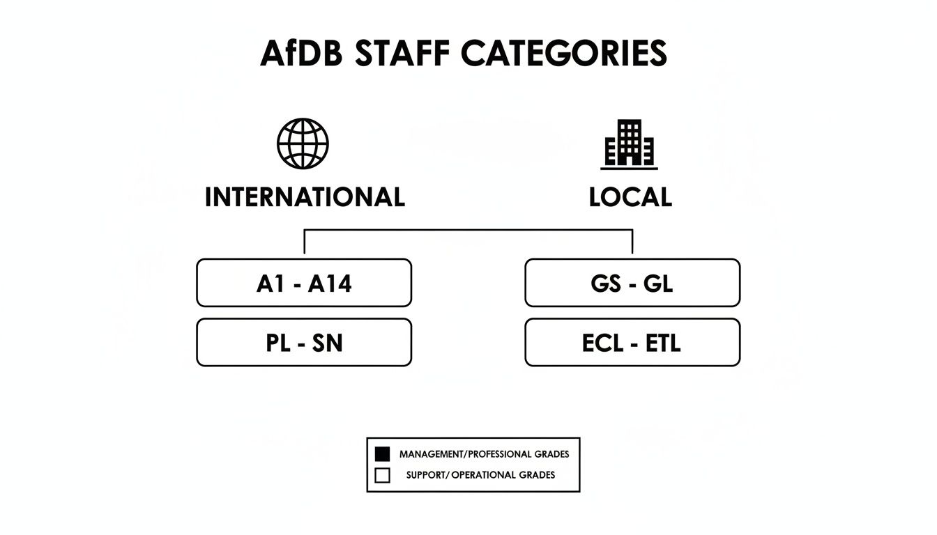 Your Guide to the African Development Bank Salary Scale