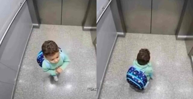 Inteligência artificial, redes sociais e o novo campo de batalha da democracia