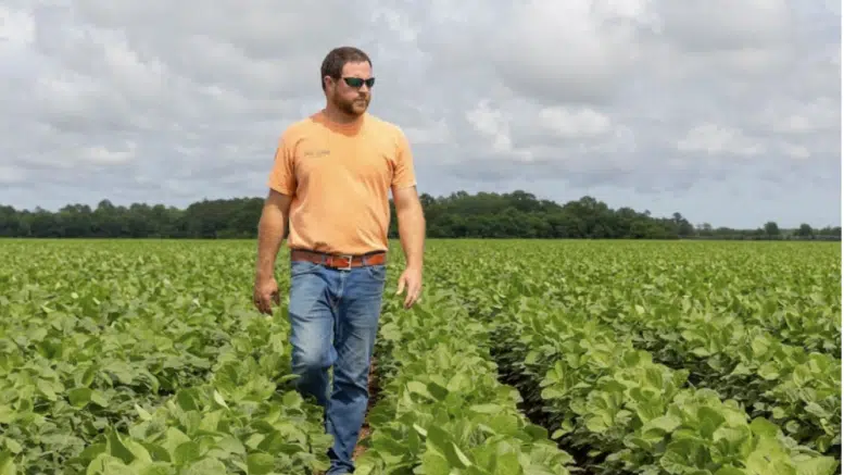 Farmland Shock: Georgia Grower Drops 3,000 Acres, Warns Of Unplanted Ground In 2026