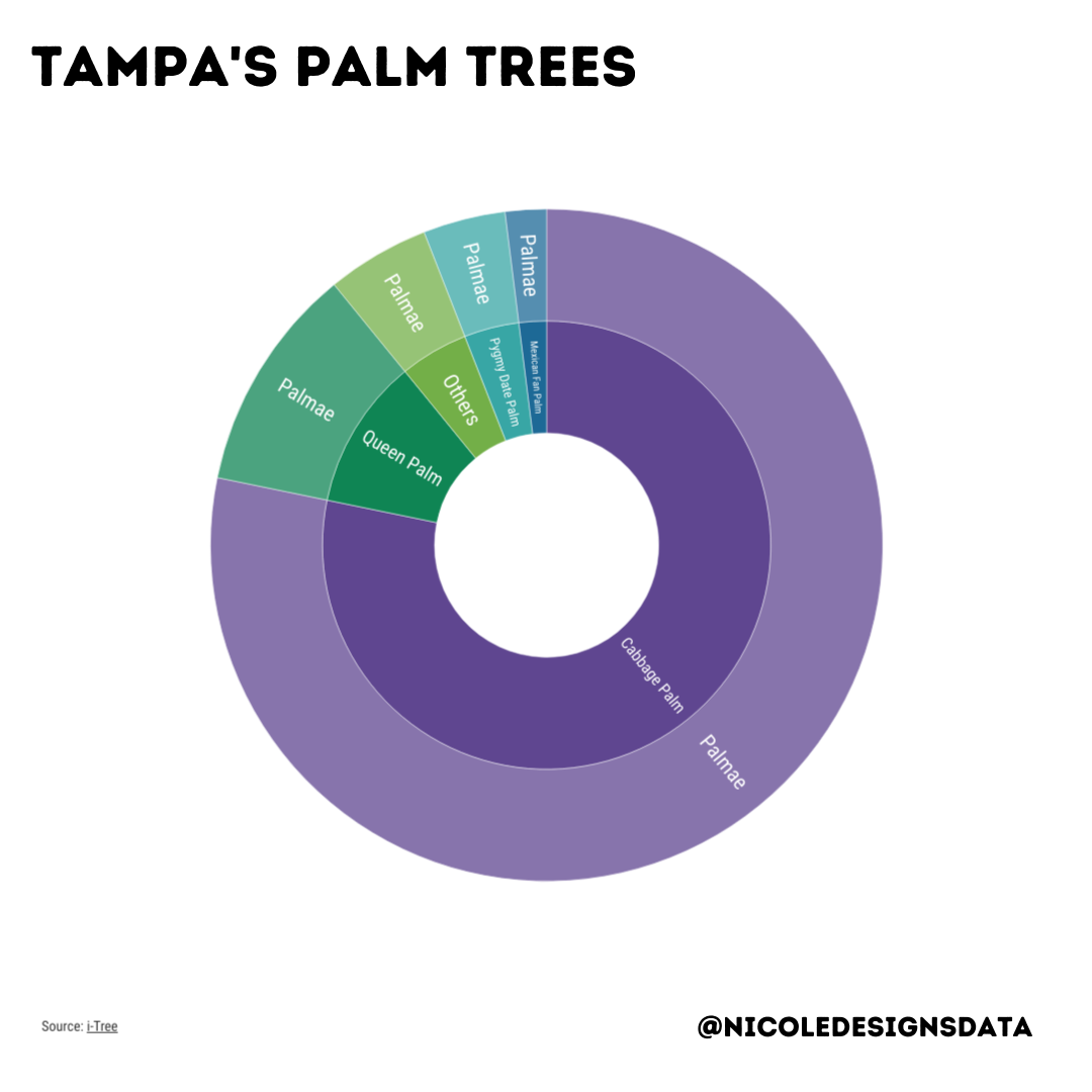 Tampa's Palm Trees