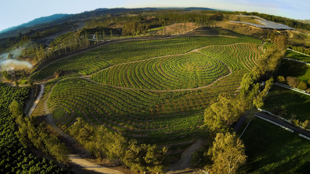 the-biggest-little-farm