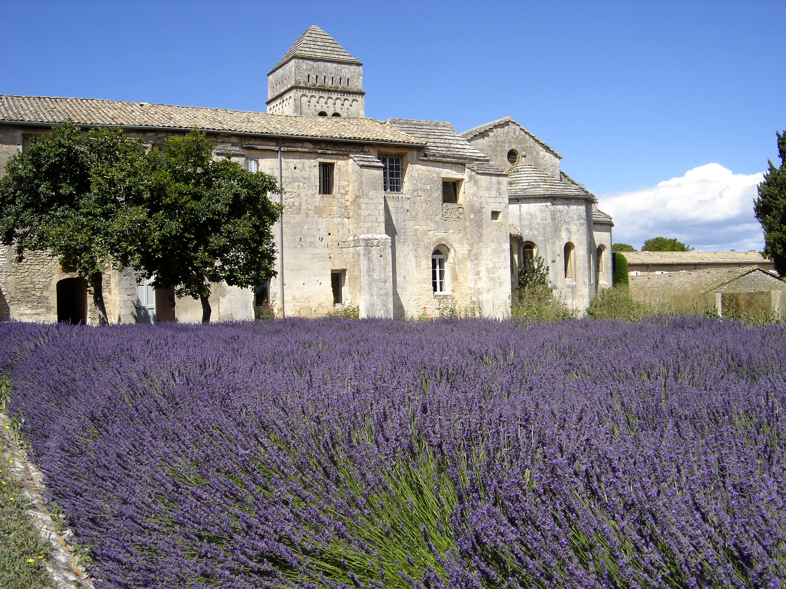 Stone monastery building with a lavender field under a clear sky
