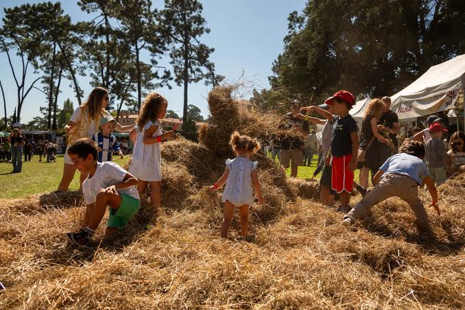 Visão | Festa do outono, em Serralves: Dois dias grátis para regressar à  terra