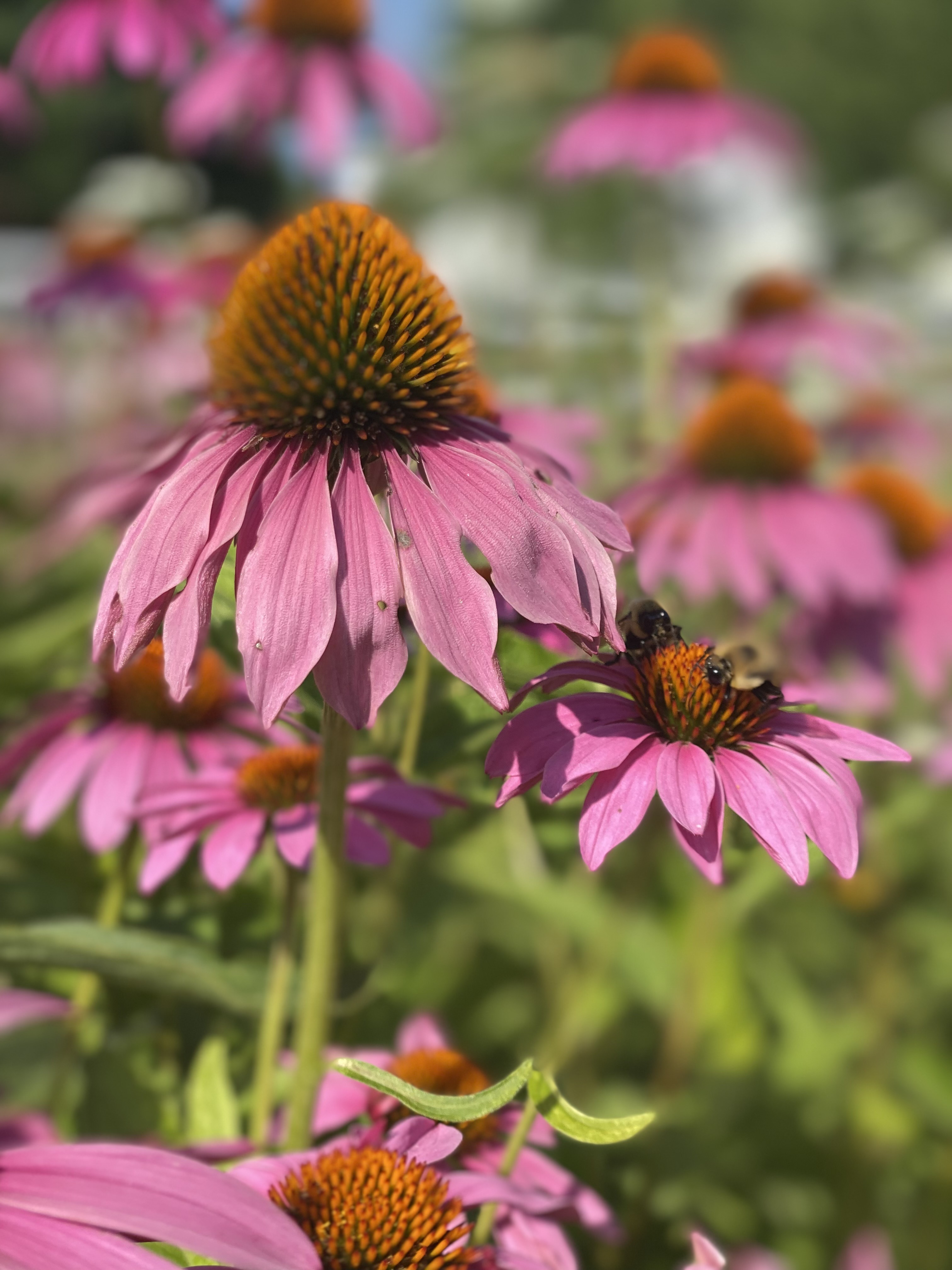 Am I Exhausted or Called to Leave?